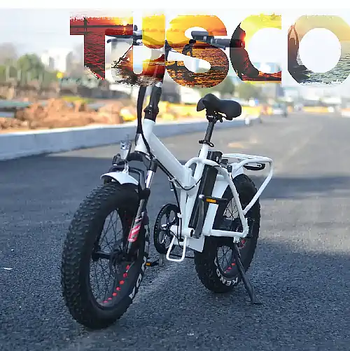 E-Bike Fat bike rental dalyan dalyan 